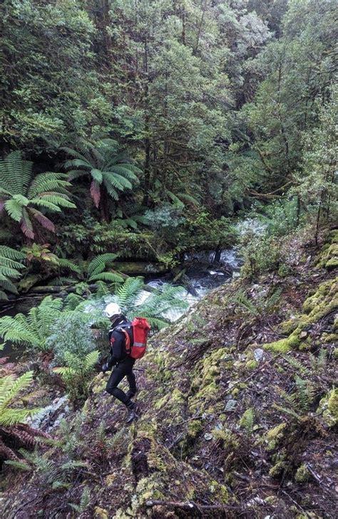 Tasmanian Police continue to search for missing Belgian Celine .